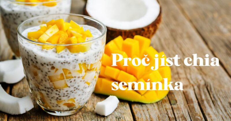 Co to jsou chia semínka