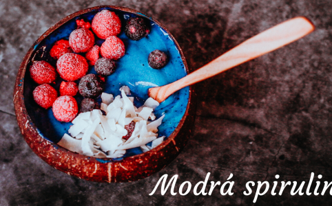 Modrá spirulina v misce
