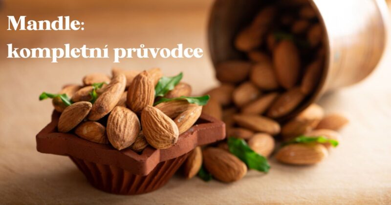 Vše o mandlích - loupané, neloupané, uzené, naturální mandle.