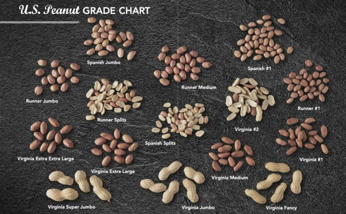 Odrůdy arašídů dovážených z USA