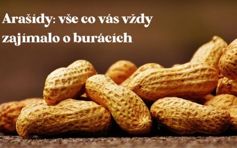 Arašídy (často také nazývány jako burské oříšky nebo lidově buráky) jsou plodem podzemnice olejné.