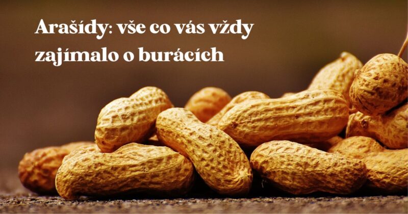 Arašídy (často také nazývány jako burské oříšky nebo lidově buráky) jsou plodem podzemnice olejné.