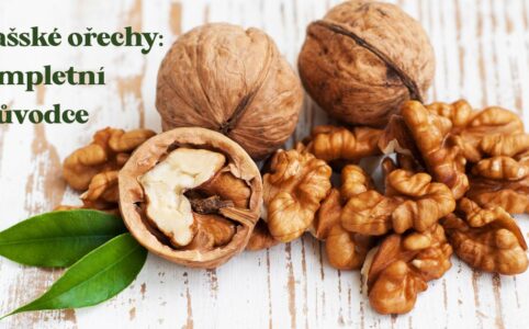 Kompletní průvodce světem vlašských ořechů. Vše co byste o ořechu měli vědět.