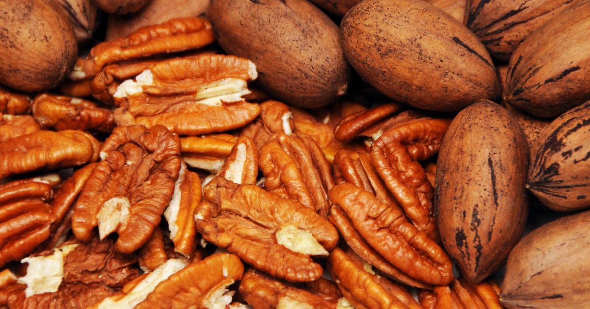 Pekany mohou mít různé odstíny barev, od žluté, přes hnědou až po oranžovou.