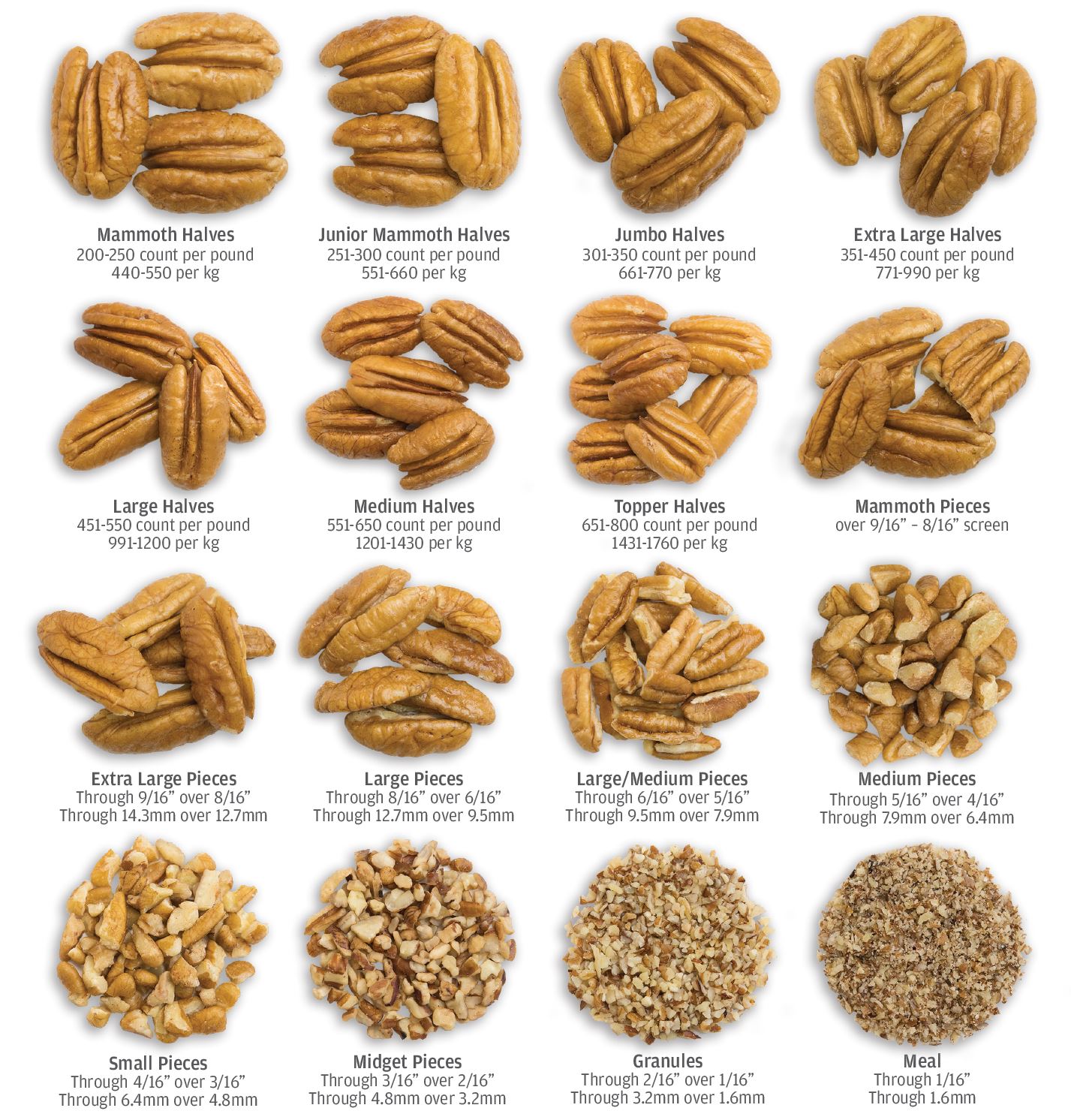 Velikosti pekanů dle standardů.