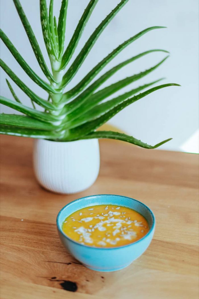 Veganská dýňová polévka