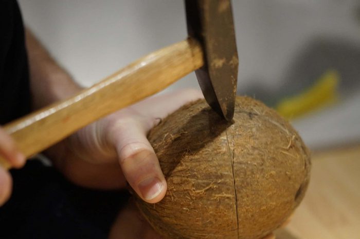 Jak rozbít kokos? Potřebujete jen dvě věci, a to šroubovák a kladivo.