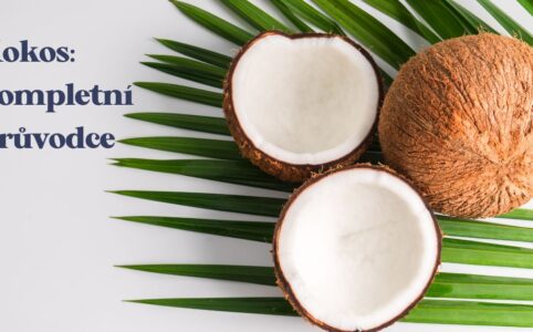 Kokosové ořechy jsou chutné, všestranné ovoce, které si můžete dopřát po celém světě. Ano, slyšeli jste správně, kokosové ořechy jsou ovoce, jak je to možné? 