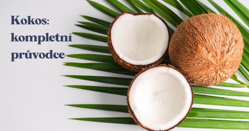 Kokosové ořechy jsou chutné, všestranné ovoce, které si můžete dopřát po celém světě. Ano, slyšeli jste správně, kokosové ořechy jsou ovoce, jak je to možné? 