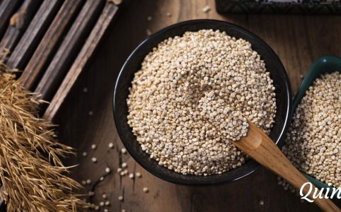 Quinoa