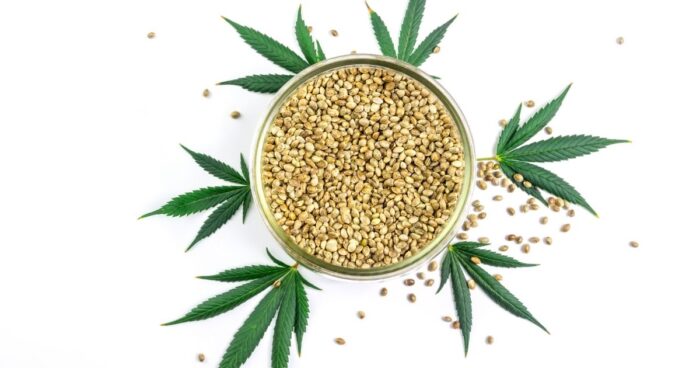 Byl to údajně Kryštof Kolumbus, který jako první přivezl konopné semínko americkým Indiánům. 