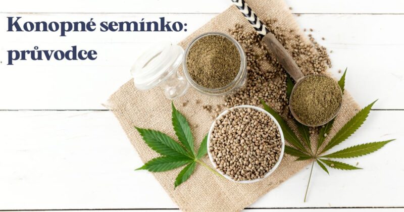 Mnoho lidí považuje konopná semínka za superpotravinu. Semena mají bohatý nutriční profil a poskytují řadu zdravotních výhod.