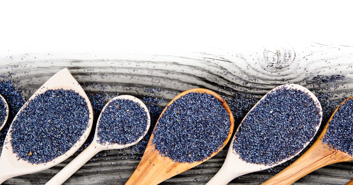 Mák setý je rostlina z čeledi makovitých, v České republice běžně pěstovaná jako zdroj potravinářského máku. 