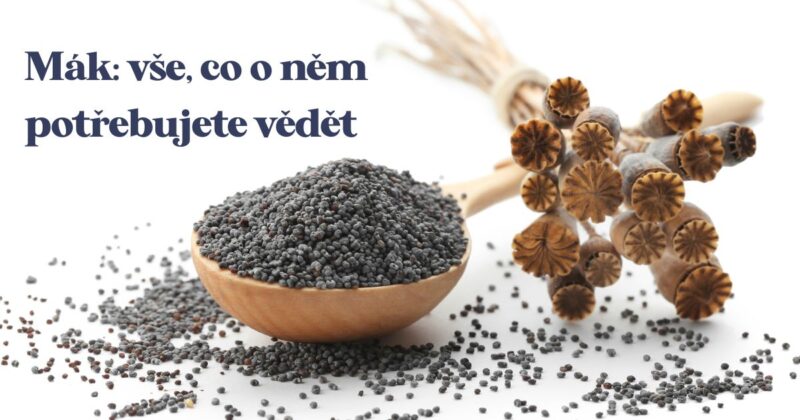 Chcete dělat makové buchty? Mák je nedílnou ingrediencí nejen u nich, ale i například u koláčů, muffinů a mnoha dalších dobrot. Přidává jim prostě ten správný šmrnc!