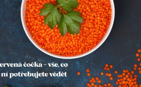 Červená čočka: Malý poklad v kuchyni s bohatou chutí a zdravotními benefity, který dokonale skloubí výživu, rychlost a široké možnosti v kulinářském umění.