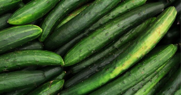 Do salátu není vhodné používat nažloutlé okurky, protože ztrácí svou čerstvou chuť a texturu.