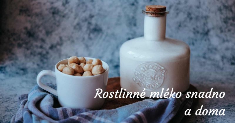 Rostlinné mléko snadno a doma: nejlepší domácí recepty na mléko z ořechů
