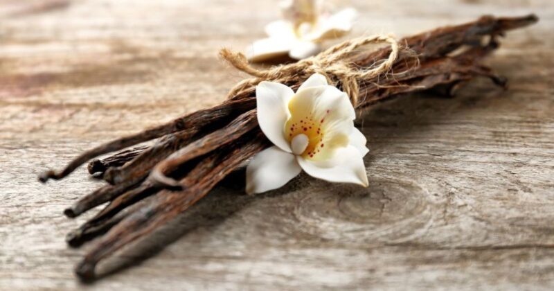 jak si vyrobit vanilkový extrakt