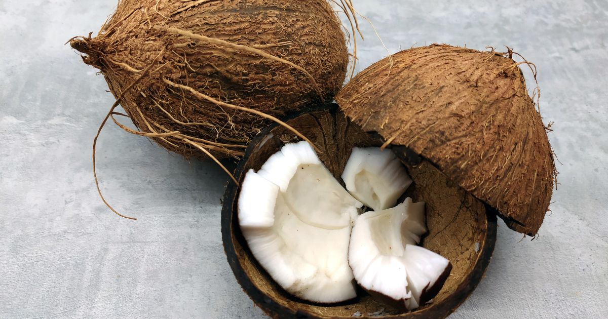 Od kdy můžou děti kokos?