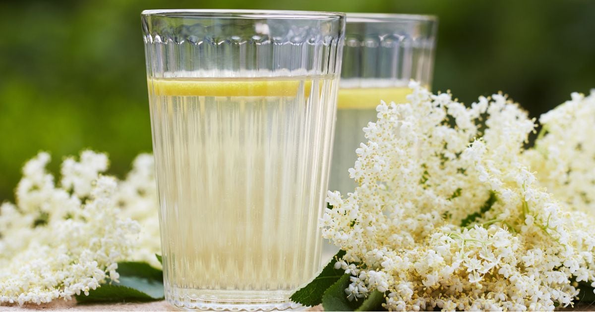 Domácí sirupy bez cukru