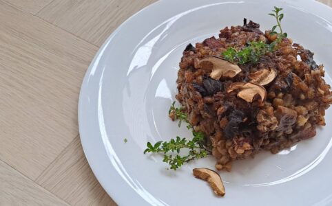 Zapečený houbový kuba